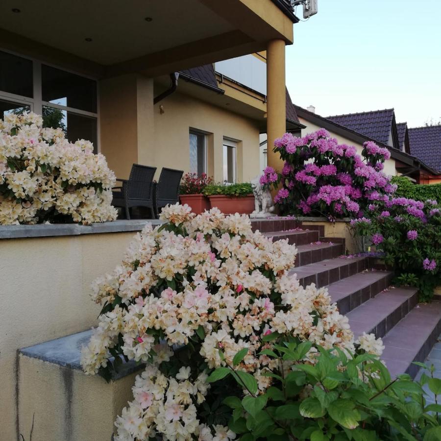 Rezident Consult S.R.O. Hotel Bratislava Exterior photo